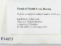 登錄號:F0014073藏品圖，第2張