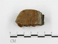登錄號:F0014073藏品圖，第3張