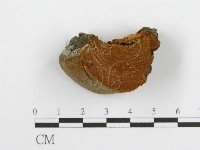 登錄號:F0014073藏品圖，第4張
