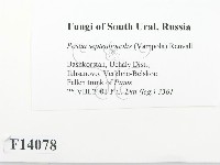 登錄號:F0014078藏品圖，第2張