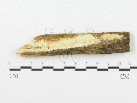 登錄號:F0014078藏品圖，第1張