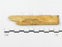 登錄號:F0014078藏品圖，第3張