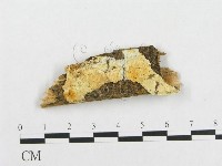 登錄號:F0014079藏品圖，第1張