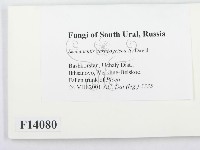 登錄號:F0014080藏品圖，第2張