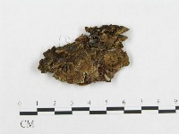 登錄號:F0014080藏品圖，第1張