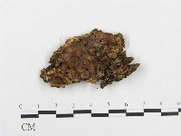 登錄號:F0014080藏品圖，第3張