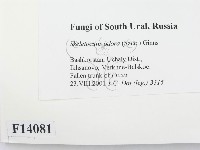 登錄號:F0014081藏品圖，第2張