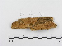 登錄號:F0014081藏品圖，第1張