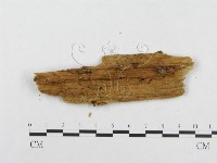 登錄號:F0014081藏品圖，第3張