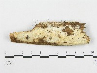登錄號:F0014082藏品圖，第1張