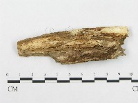 登錄號:F0014082藏品圖，第3張