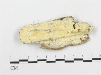 登錄號:F0014083藏品圖，第1張