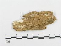 登錄號:F0014083藏品圖，第3張
