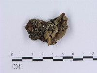 登錄號:F0014084藏品圖，第1張