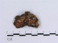登錄號:F0014084藏品圖，第3張
