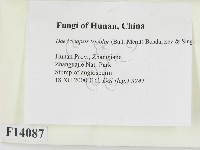 登錄號:F0014087藏品圖，第2張