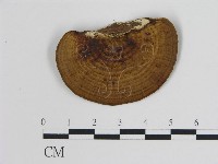 登錄號:F0014087藏品圖，第3張