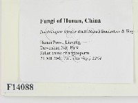登錄號:F0014088藏品圖，第2張