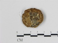 登錄號:F0014088藏品圖，第3張