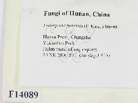 登錄號:F0014089藏品圖，第2張