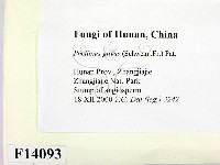 登錄號:F0014093藏品圖，第2張