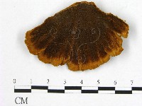 登錄號:F0014093藏品圖，第1張