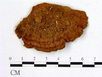 登錄號:F0014093藏品圖，第3張