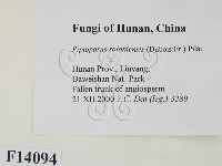 登錄號:F0014094藏品圖，第2張