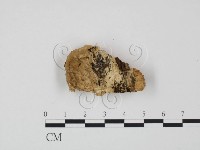 登錄號:F0014094藏品圖，第3張