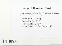 登錄號:F0014095藏品圖，第2張