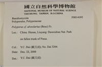 登錄號:F0014095藏品圖，第4張