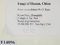 登錄號:F0014096藏品圖，第2張