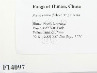 登錄號:F0014097藏品圖，第2張