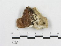 登錄號:F0014097藏品圖，第1張