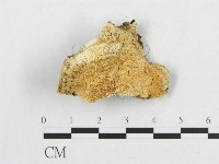 登錄號:F0014097藏品圖，第3張
