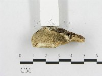 登錄號:F0014097藏品圖，第4張