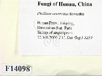 登錄號:F0014098藏品圖，第2張