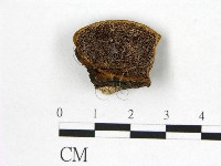 登錄號:F0014098藏品圖，第1張