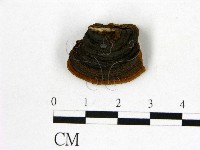 登錄號:F0014098藏品圖，第3張
