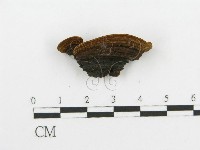 登錄號:F0014098藏品圖，第5張