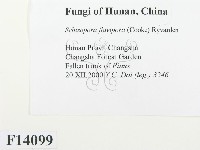 登錄號:F0014099藏品圖，第2張