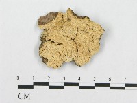 登錄號:F0014099藏品圖，第1張