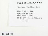 登錄號:F0014100藏品圖，第2張