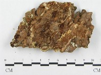 登錄號:F0014100藏品圖，第3張
