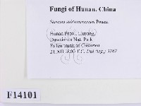 登錄號:F0014101藏品圖，第2張
