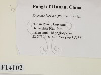 登錄號:F0014102藏品圖，第2張