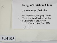 登錄號:F0014105藏品圖，第2張