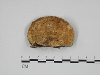 登錄號:F0014105藏品圖，第3張