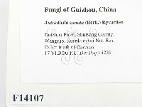 登錄號:F0014107藏品圖，第2張