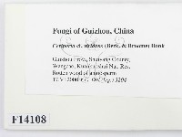 登錄號:F0014108藏品圖，第2張
